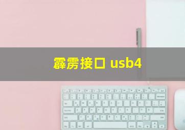 霹雳接口 usb4